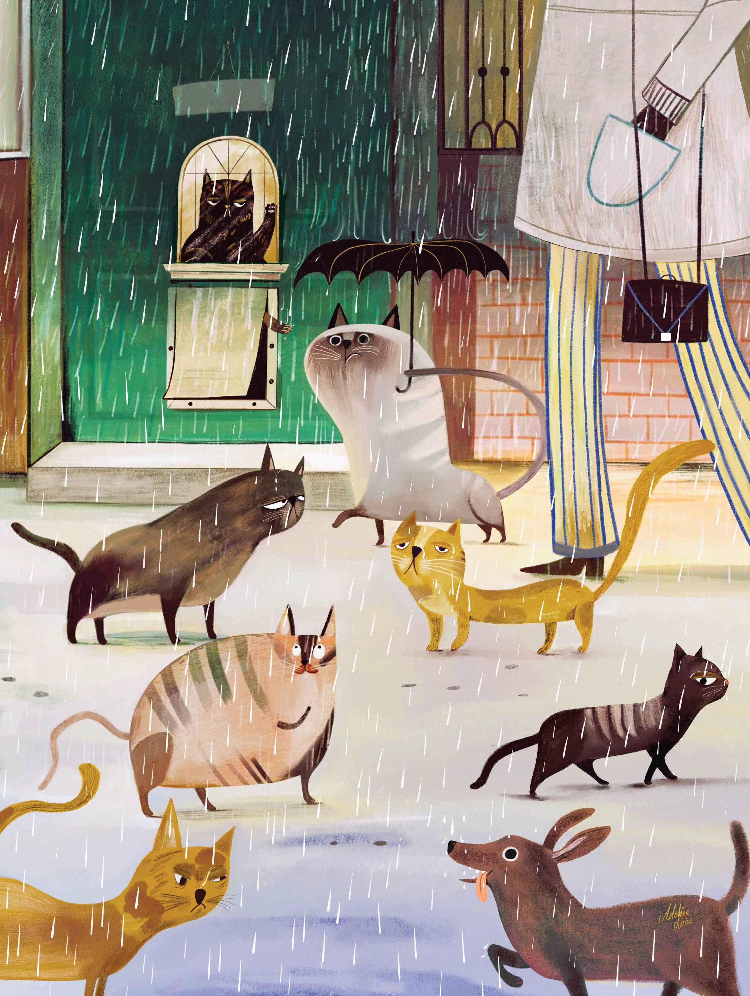 A Rainy Day Image 3