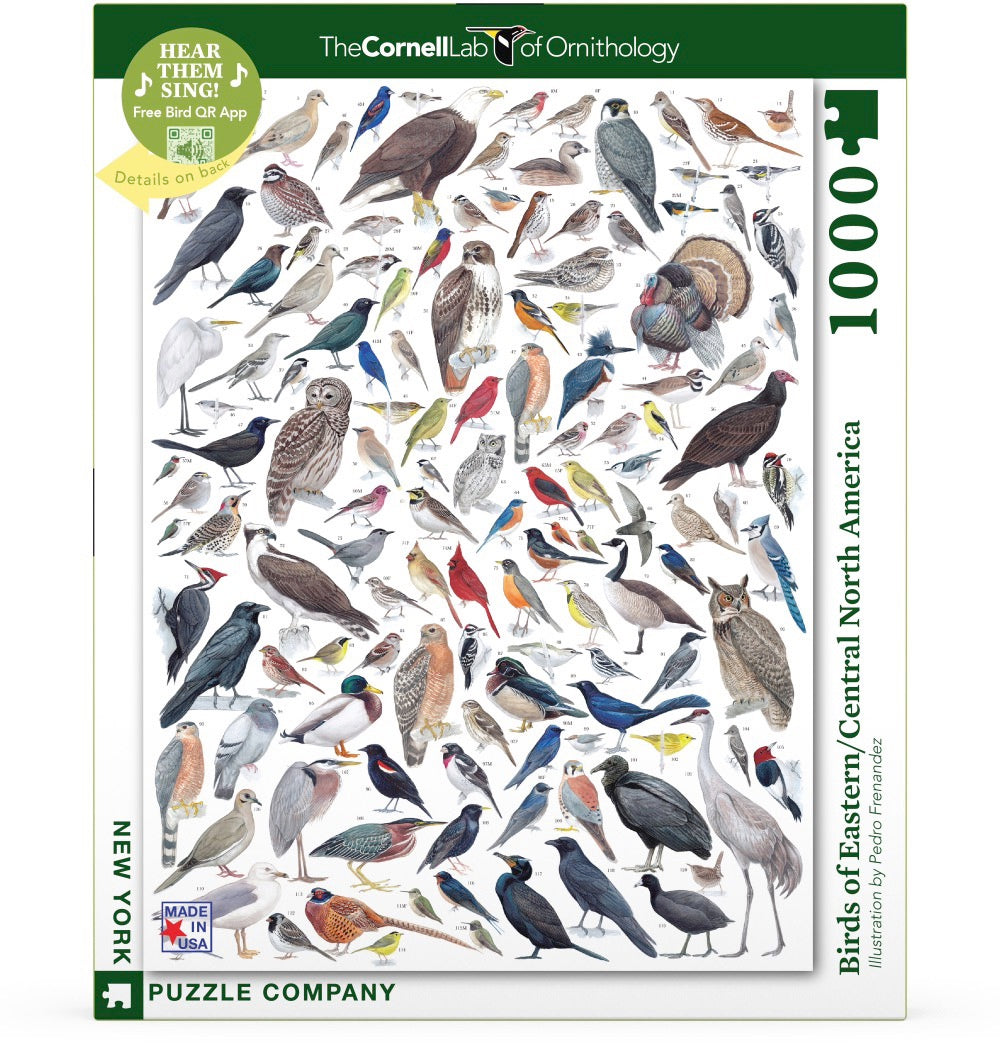 Birds of Eastern/Central North America Image 2